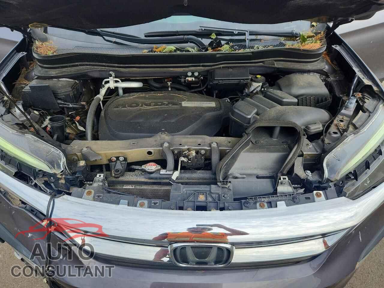 HONDA PILOT 2020 - 5FNYF6H57LB028064