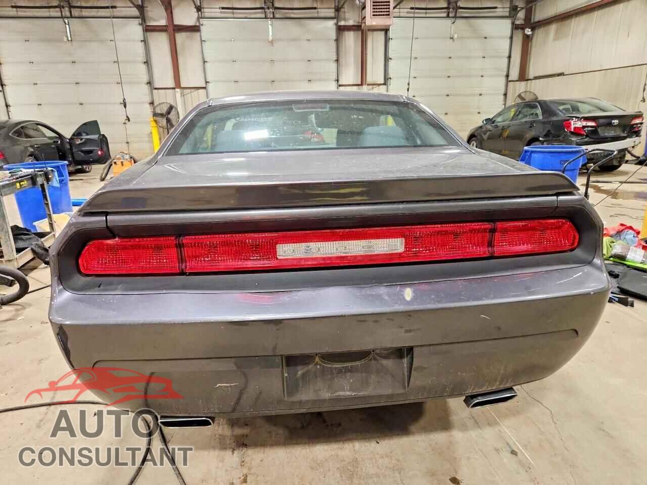 DODGE CHALLENGER 2013 - 2C3CDYAG3DH569586