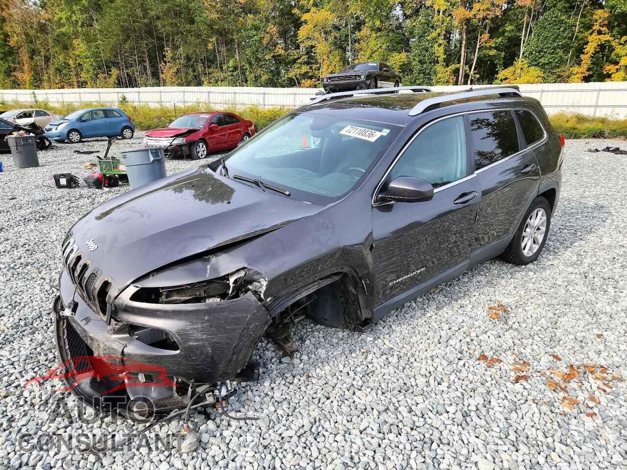 JEEP CHEROKEE 2014 - 1C4PJLCS3EW288532