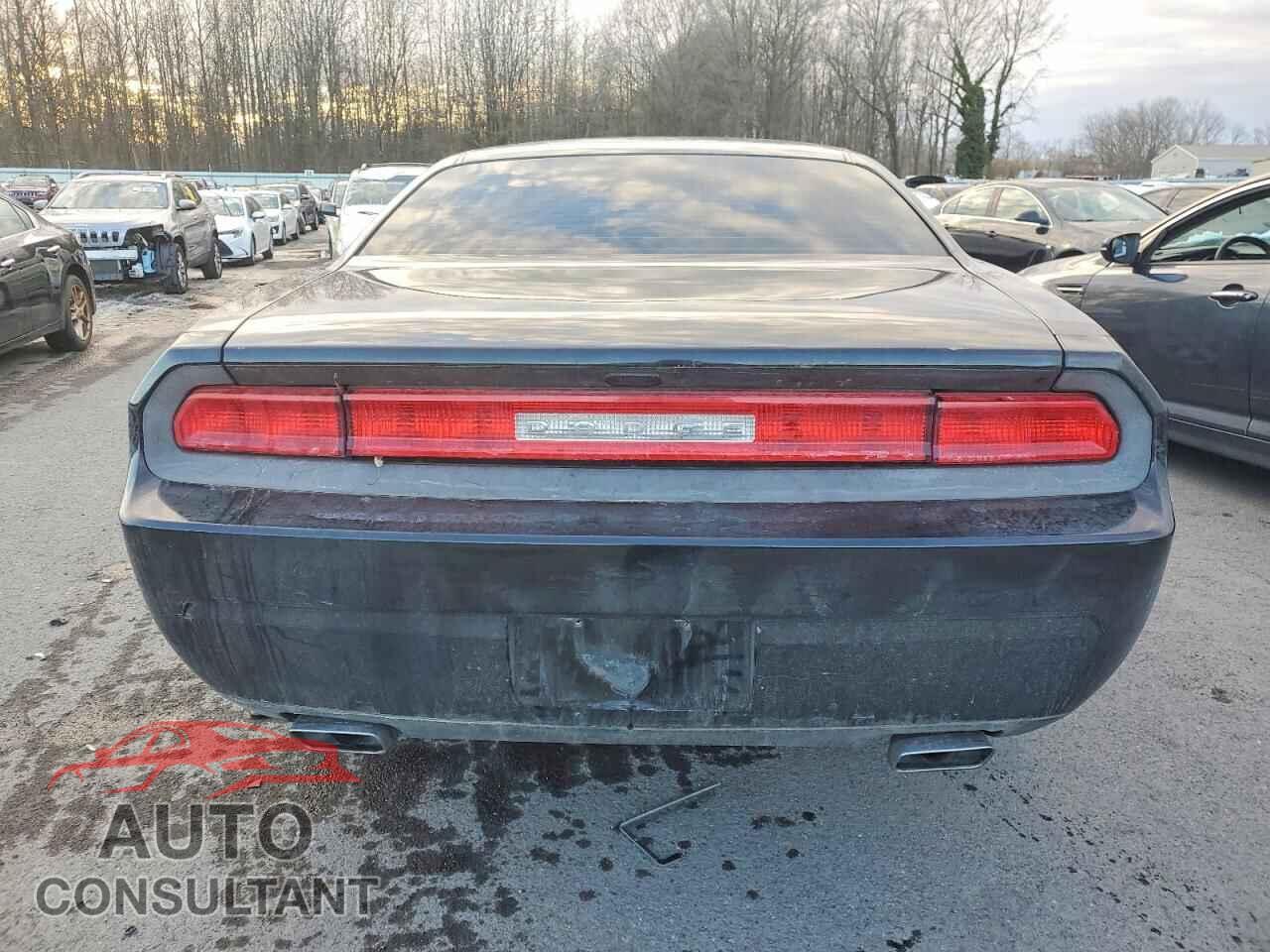 DODGE CHALLENGER 2013 - 2C3CDYAG4DH607665