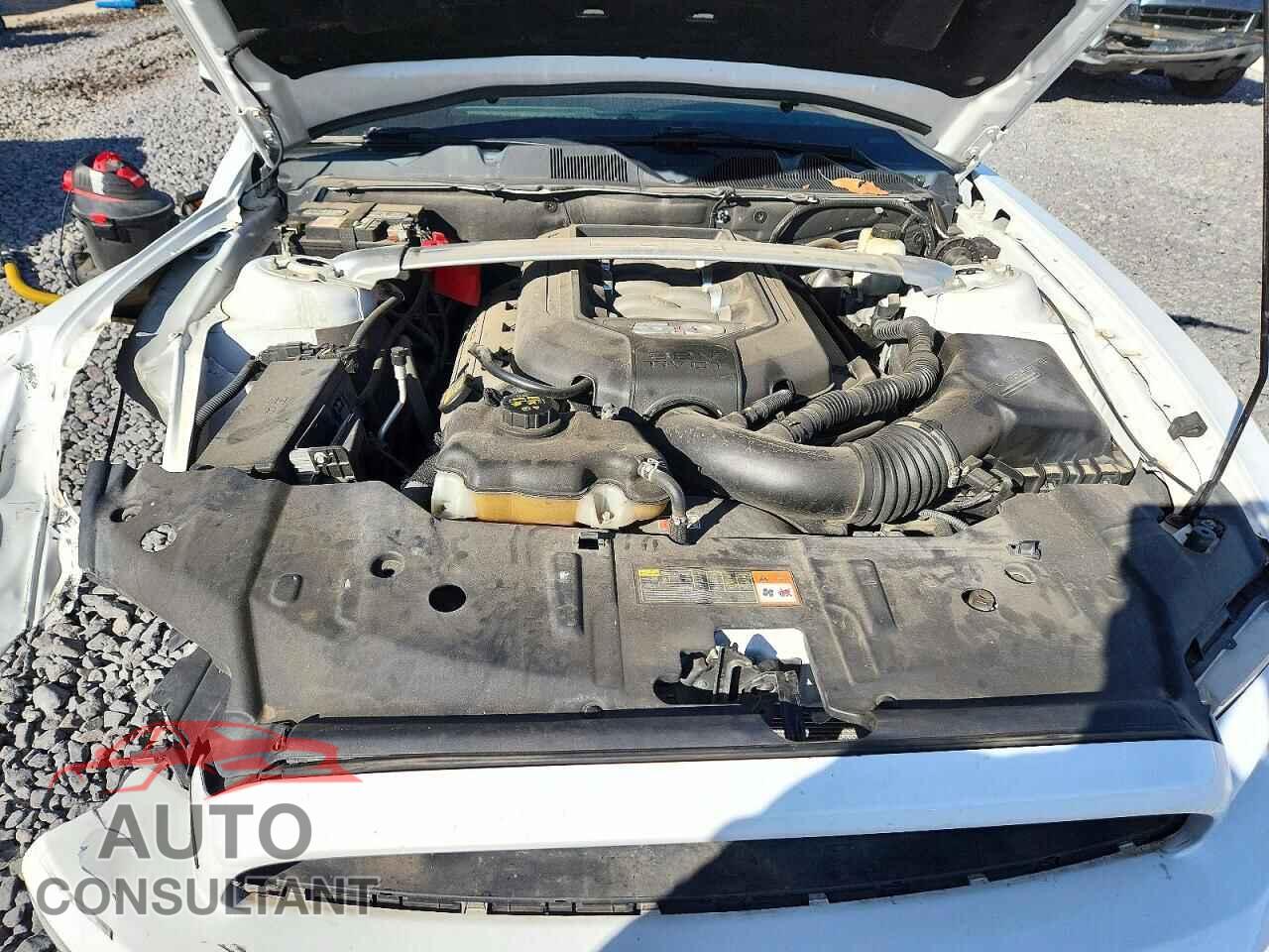 FORD MUSTANG 2014 - 1ZVBP8CF4E5235561