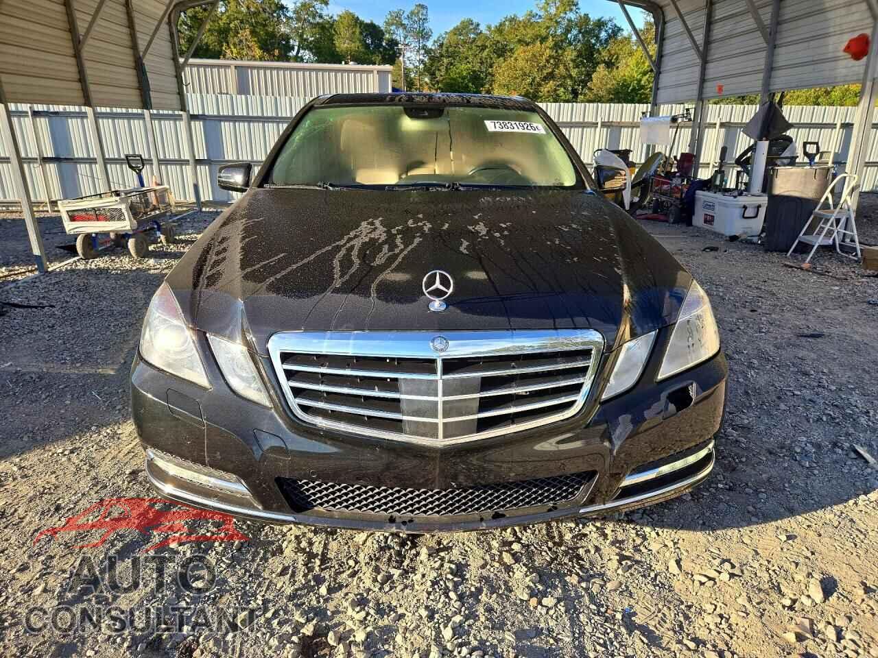 MERCEDES-BENZ E-CLASS 2013 - WDDHF2EB0DA711632