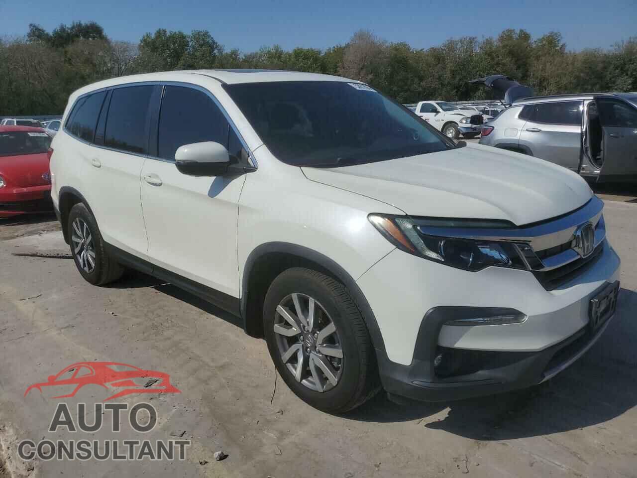 HONDA PILOT 2019 - 5FNYF5H55KB032445