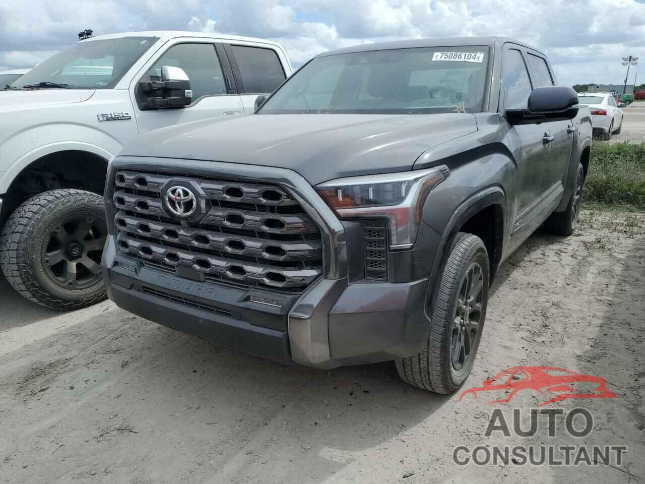 TOYOTA TUNDRA 2023 - 5TFNA5DB9PX089256