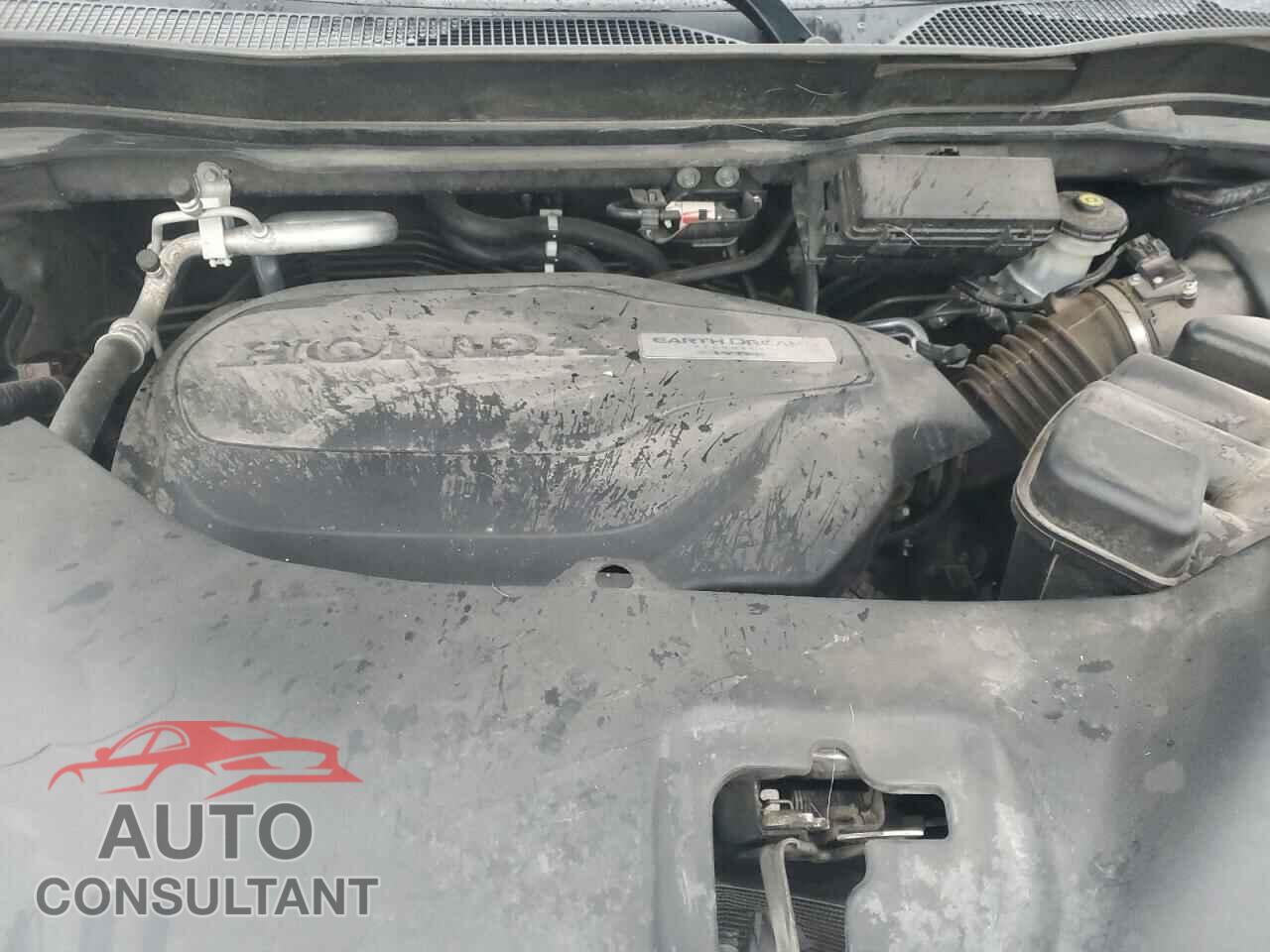 HONDA PILOT 2019 - 5FNYF6H5XKB052261