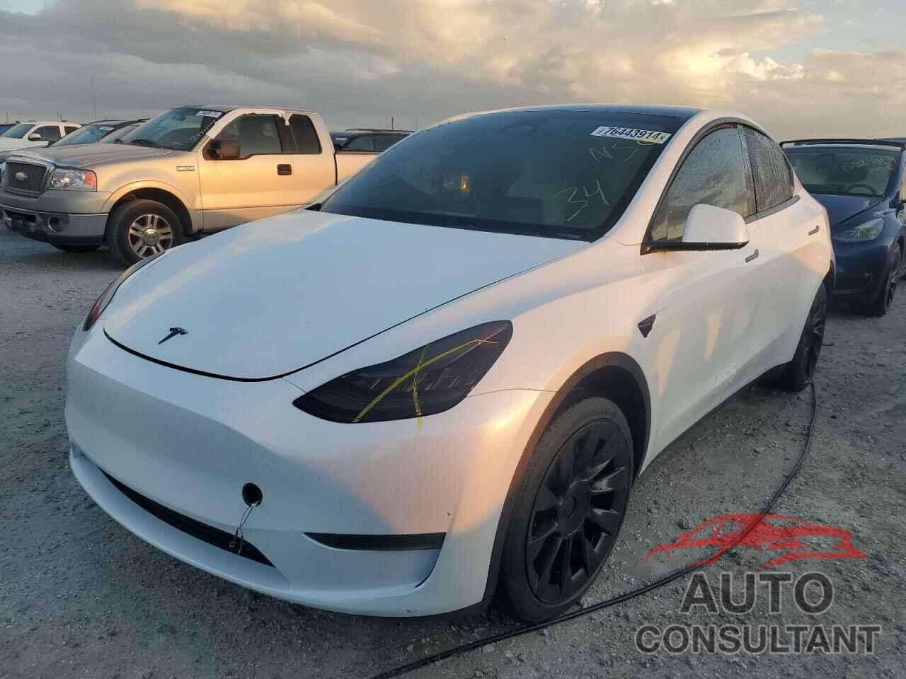 TESLA MODEL Y 2023 - 7SAYGDEE1PF610286