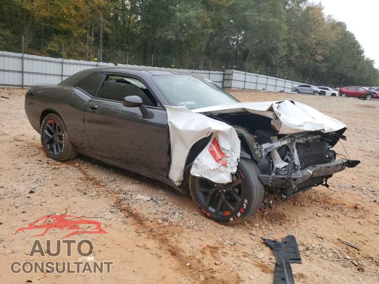 DODGE CHALLENGER 2019 - 2C3CDZAG1KH557777