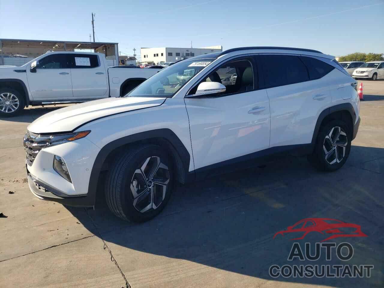 HYUNDAI TUCSON 2024 - 5NMJECDE5RH310767