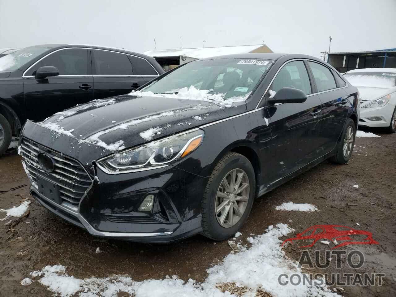 HYUNDAI SONATA 2019 - 5NPE24AF3KH730341