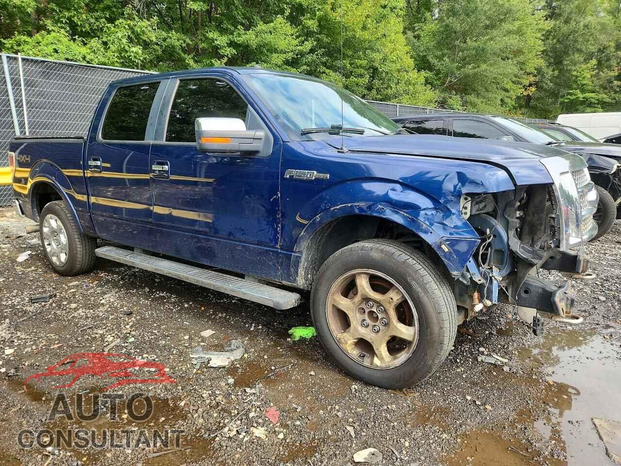 FORD F150 2011 - 1FTFW1EF5BFA29165