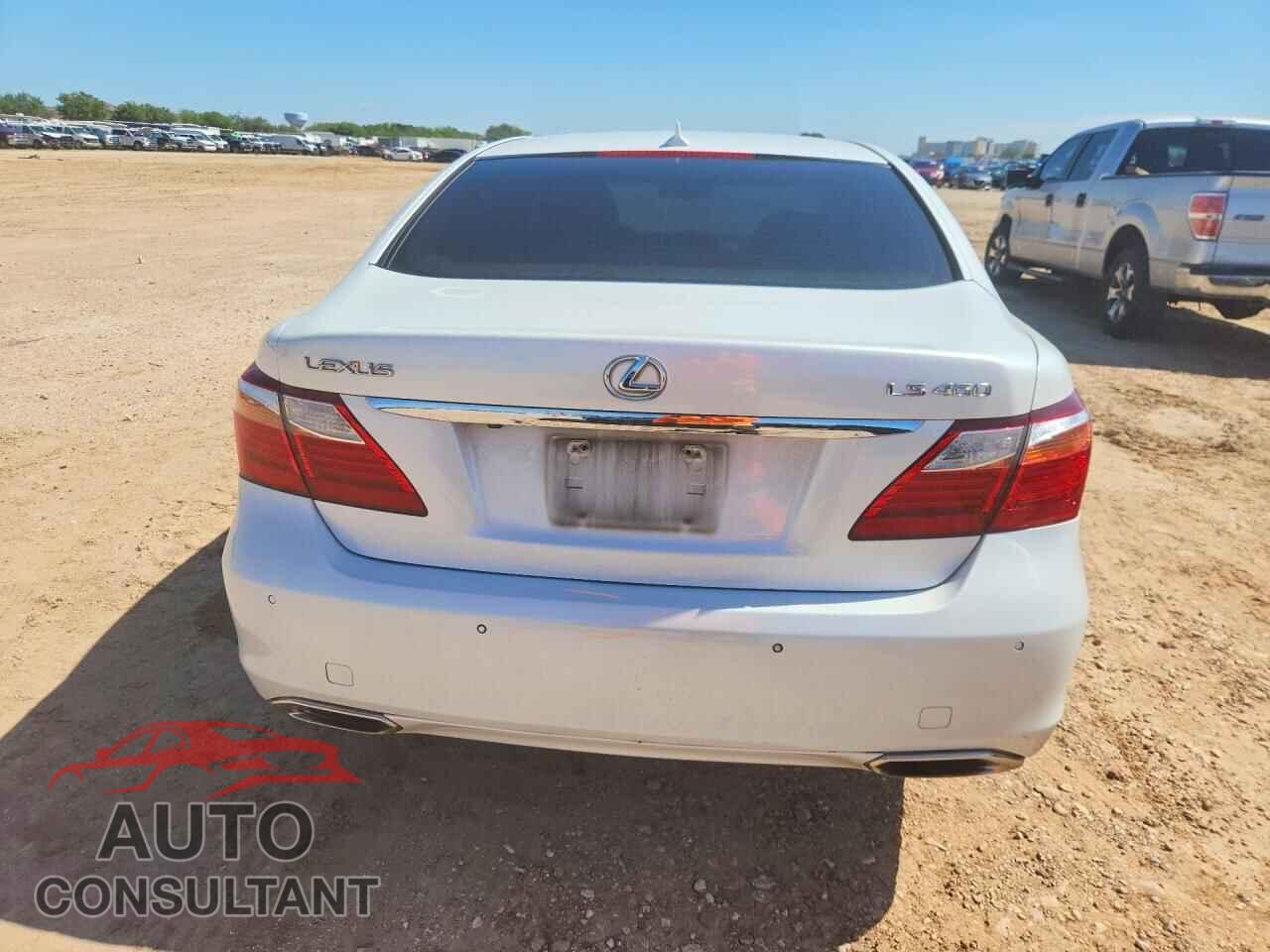 LEXUS LS460 2010 - JTHBL5EF0A5095916