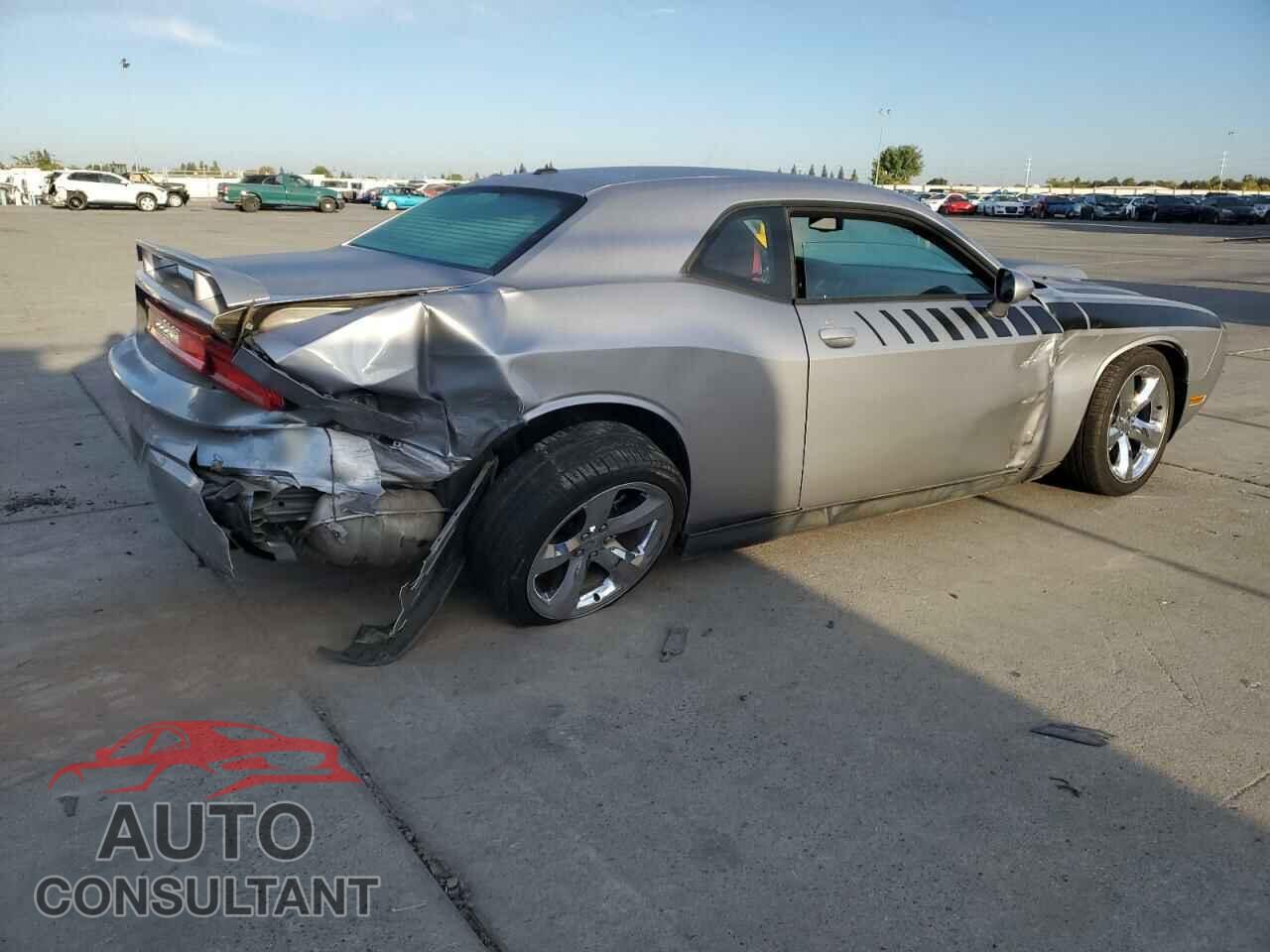 DODGE CHALLENGER 2013 - 2C3CDYBT2DH728559