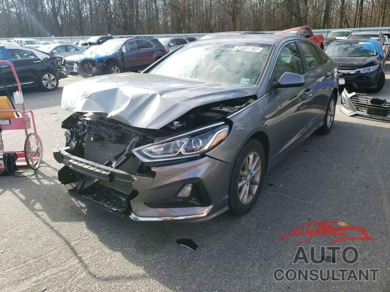 HYUNDAI SONATA 2018 - 5NPE24AF4JH711778