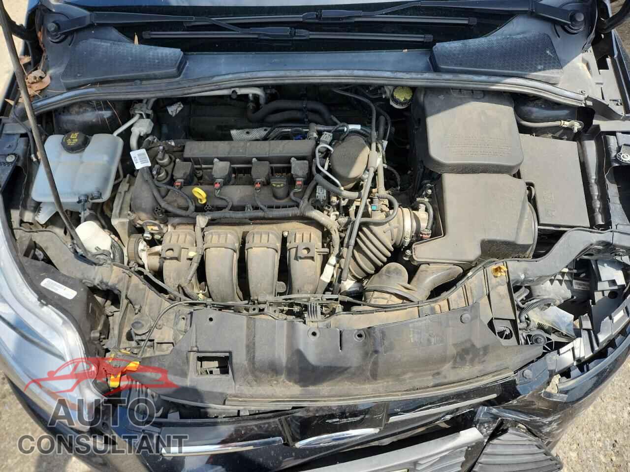 FORD FOCUS 2014 - 1FADP3K2XEL419918