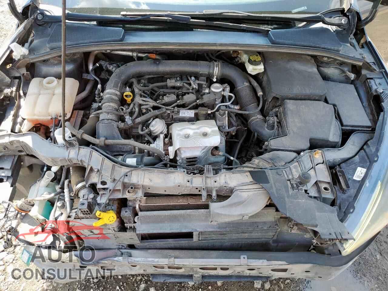 FORD FOCUS 2017 - 1FADP3FE7HL313886