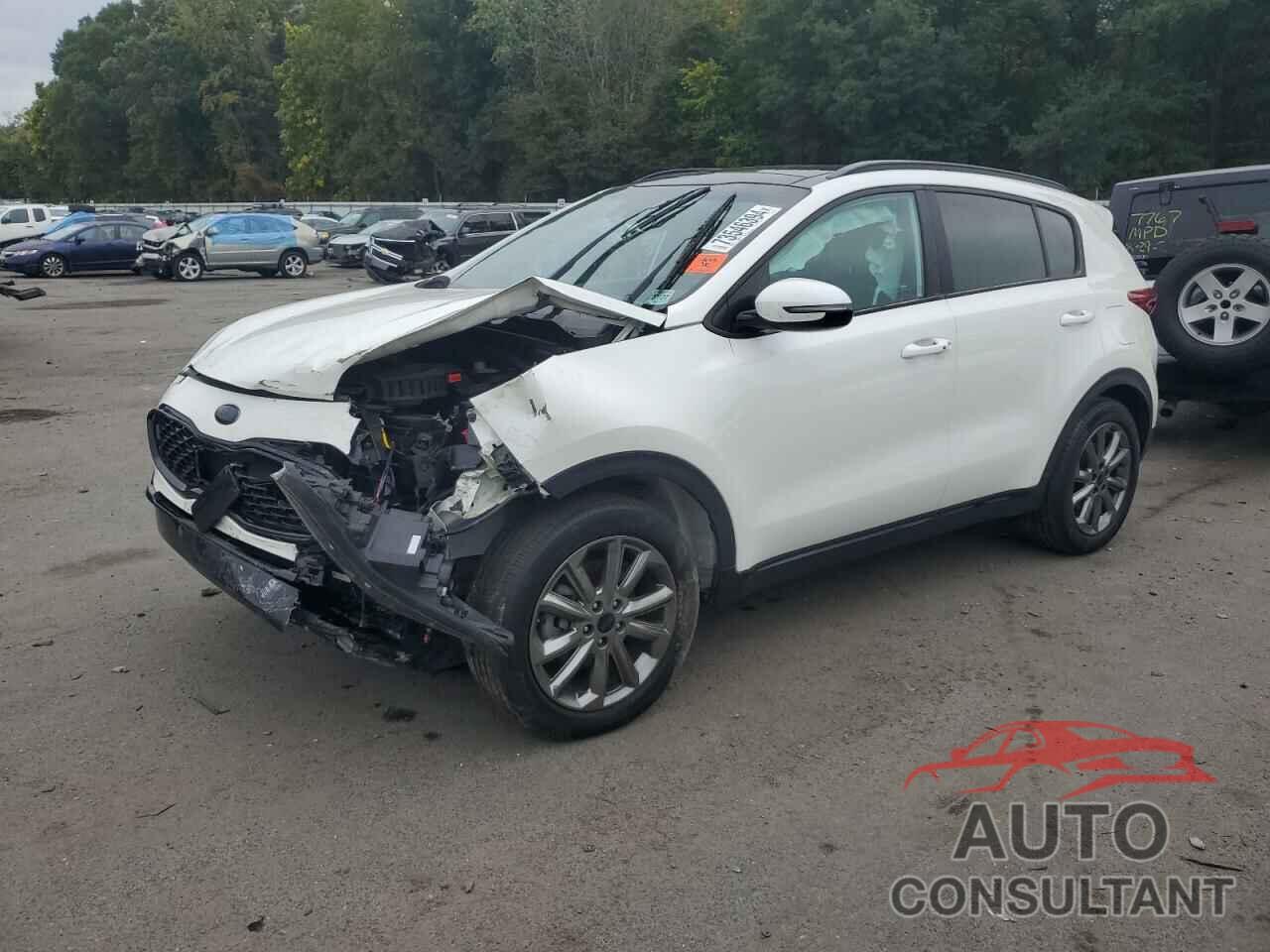 KIA SPORTAGE 2022 - KNDP6CAC7N7957909