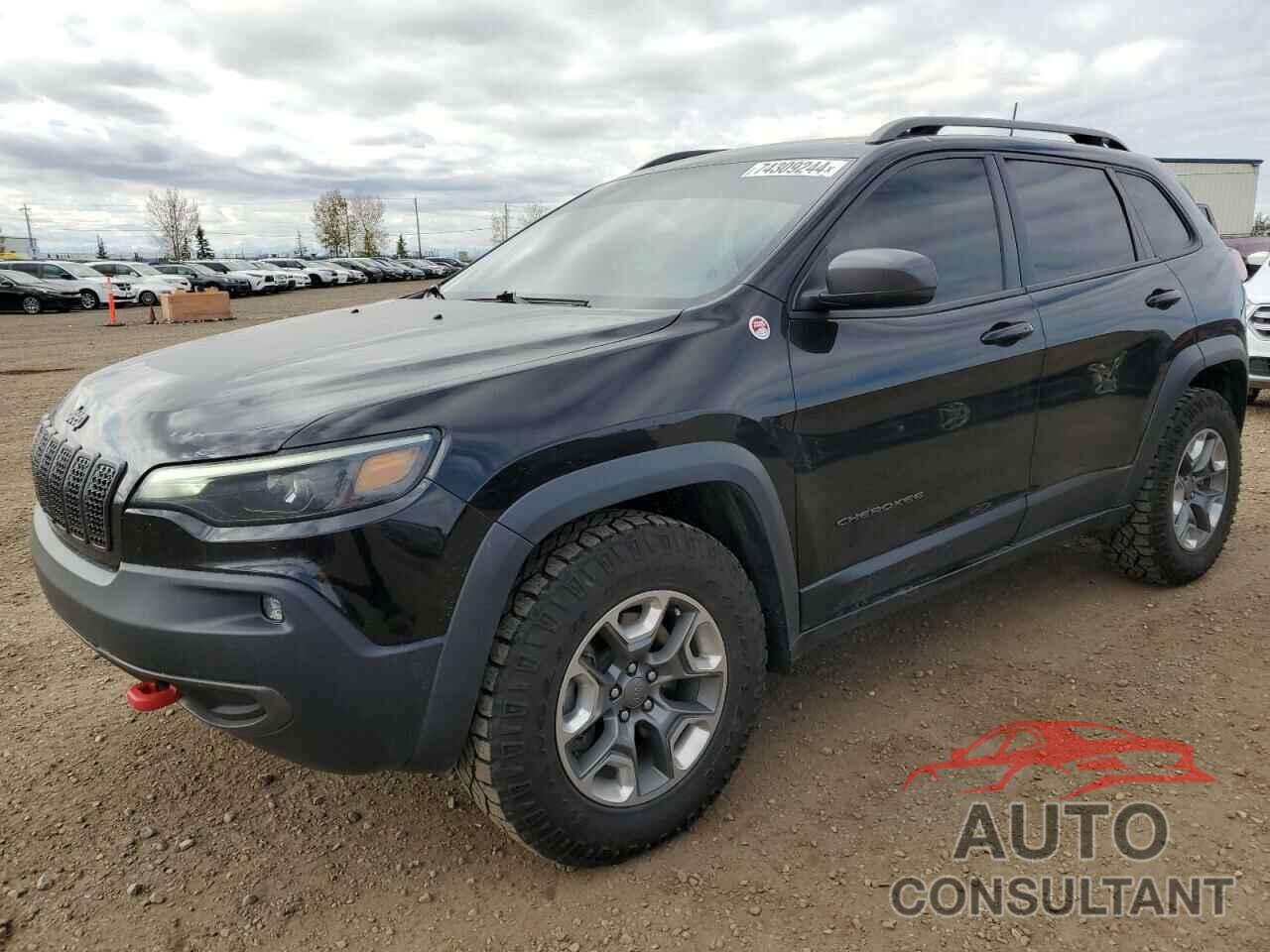 JEEP CHEROKEE 2019 - 1C4PJMBX5KD196851
