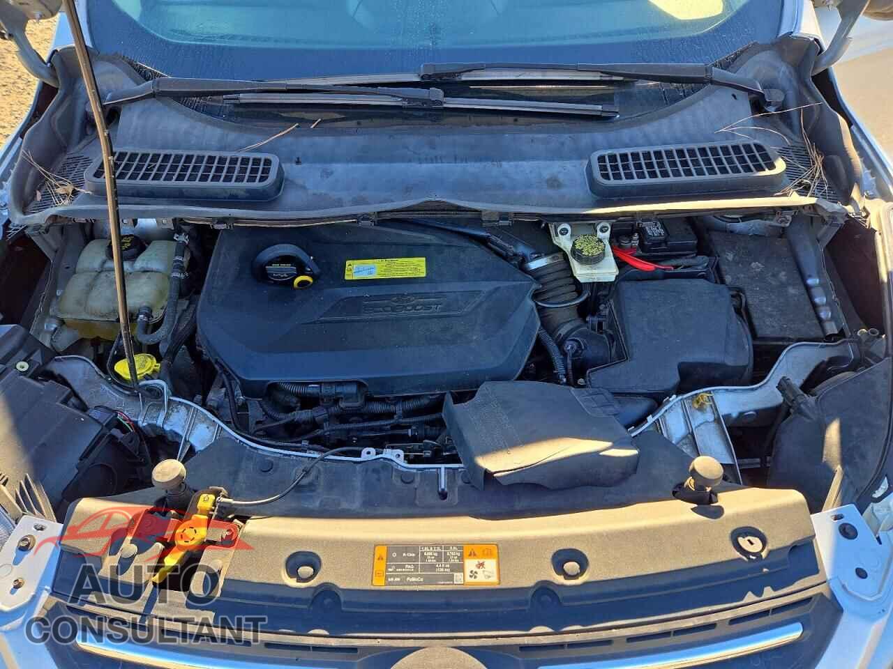 FORD ESCAPE 2014 - 1FMCU0GX2EUB54712