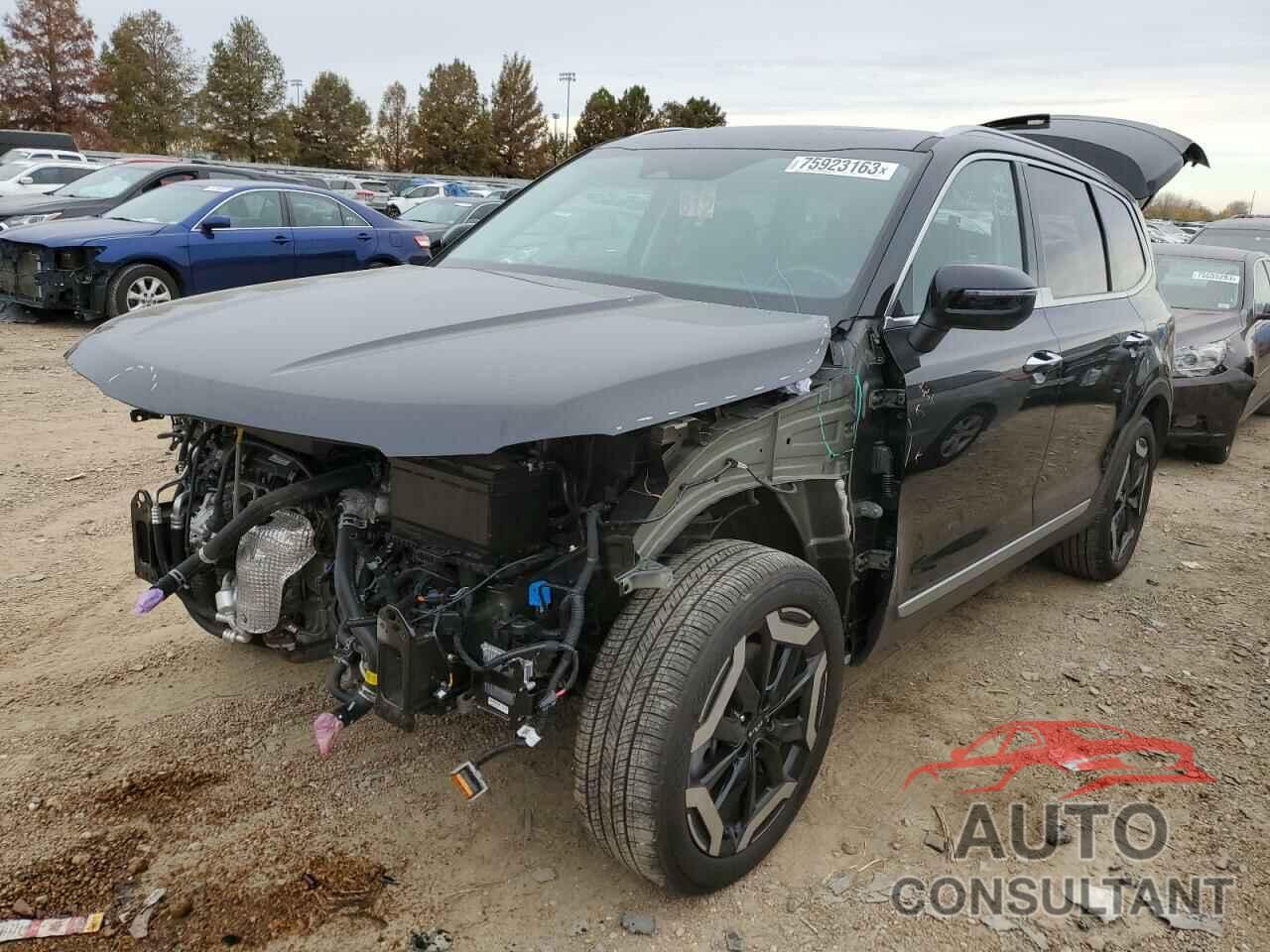 KIA TELLURIDE 2023 - 5XYP6DGC6PG341511