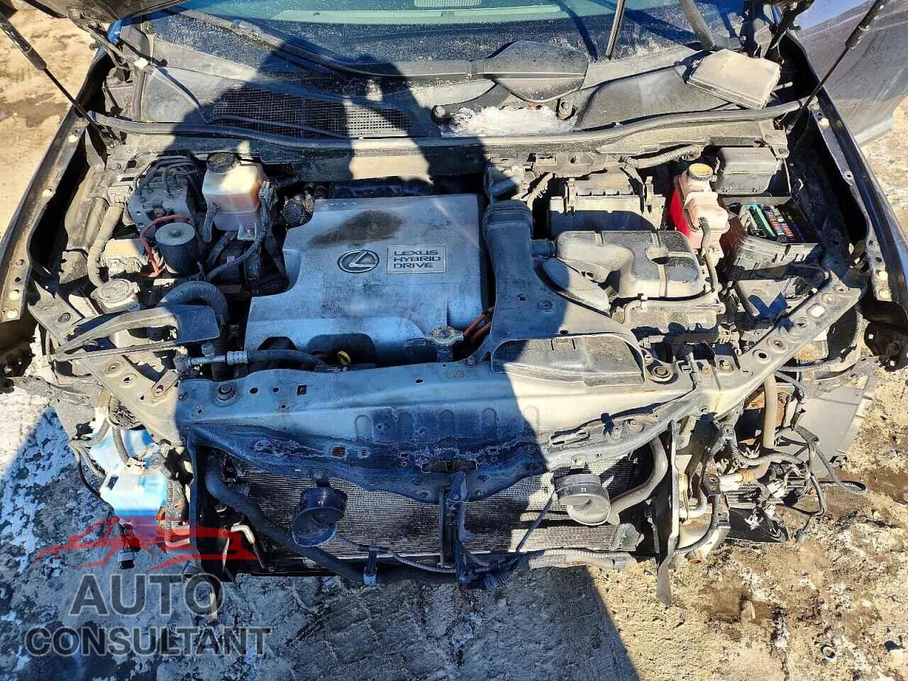 LEXUS RX450 2010 - JTJBC1BA5A2015124