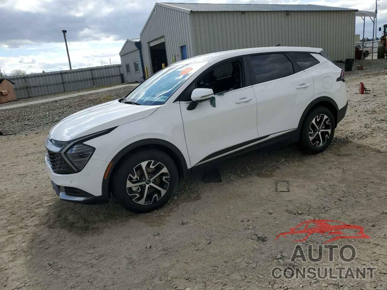 KIA SPORTAGE 2024 - 5XYK33DF7RG142109