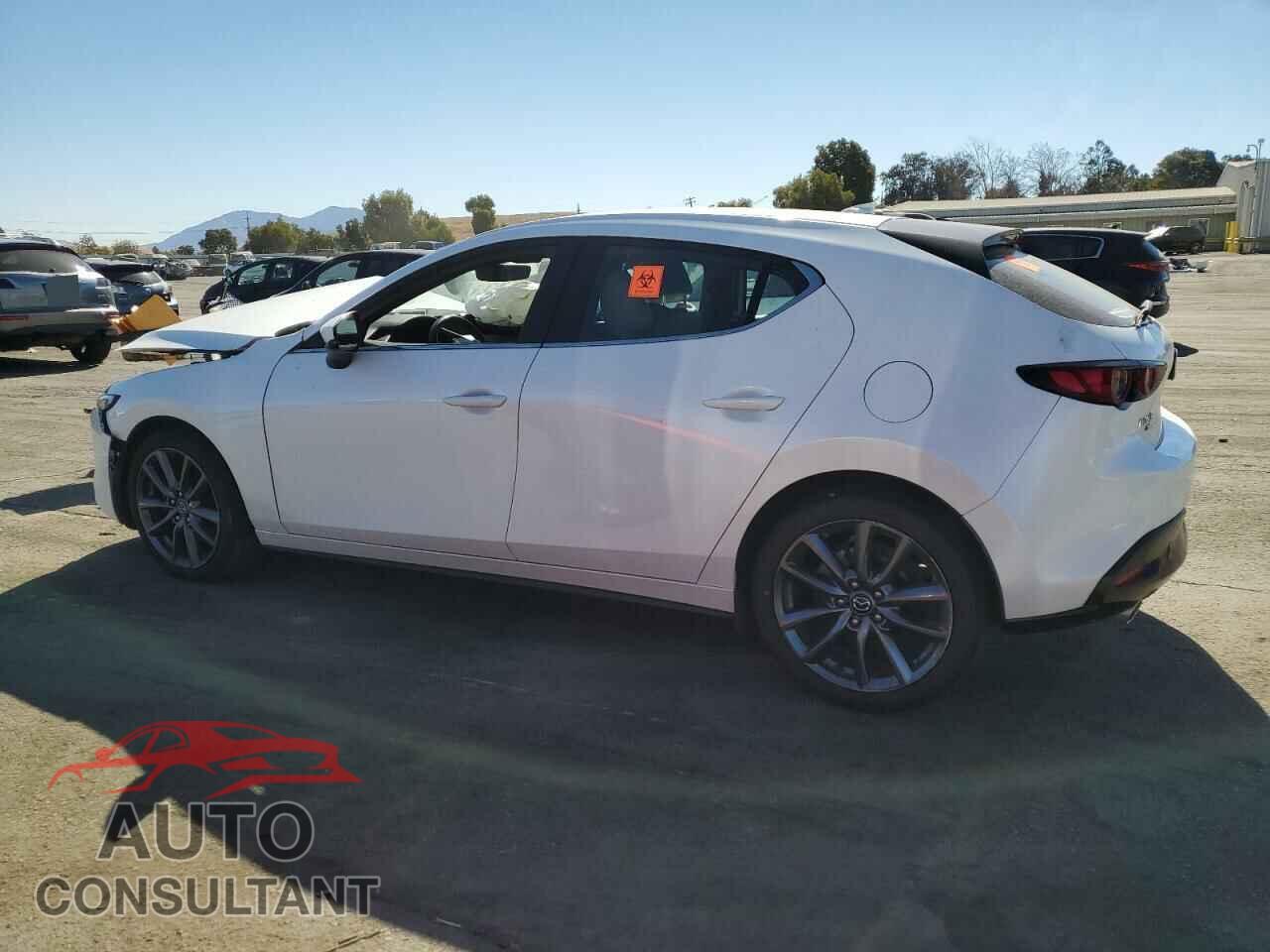 MAZDA 3 2019 - JM1BPBMM7K1124132