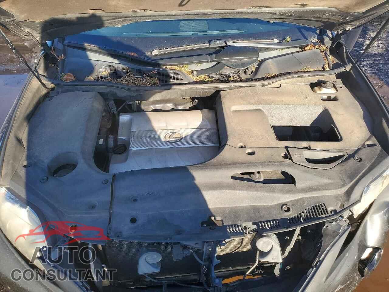 LEXUS RX350 2010 - 2T2BK1BA3AC005646