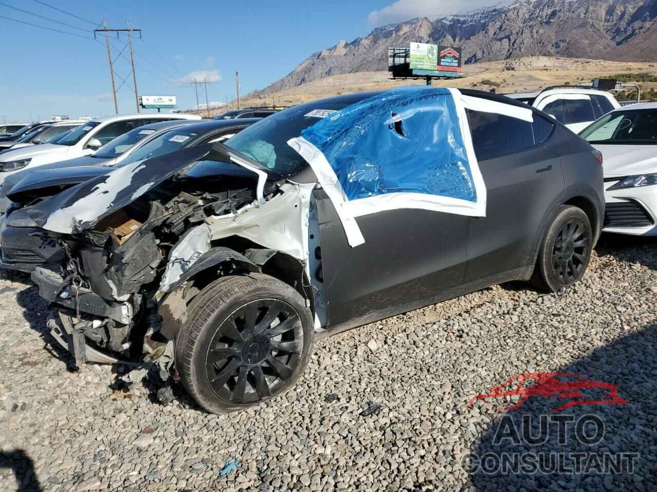 TESLA MODEL Y 2023 - 7SAYGDEE9PF631306