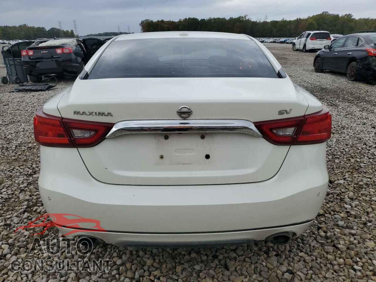 NISSAN MAXIMA 2017 - 1N4AA6AP1HC450059