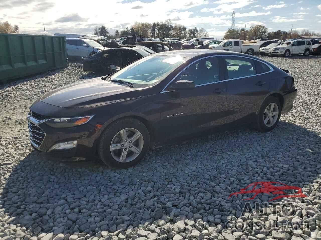 CHEVROLET MALIBU 2020 - 1G1ZC5ST4LF116010
