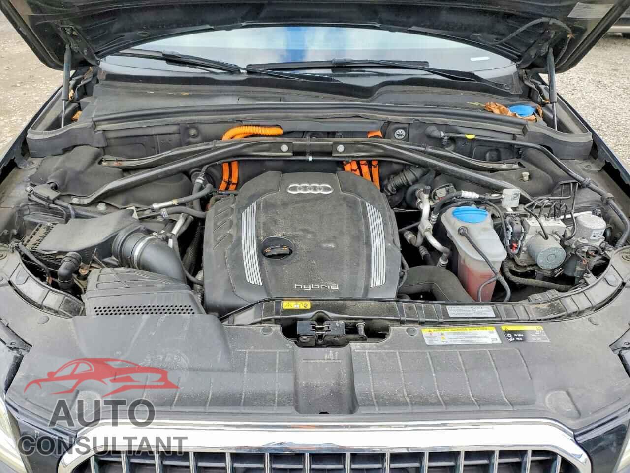 AUDI Q5 2013 - WA1C8AFP7DA018036