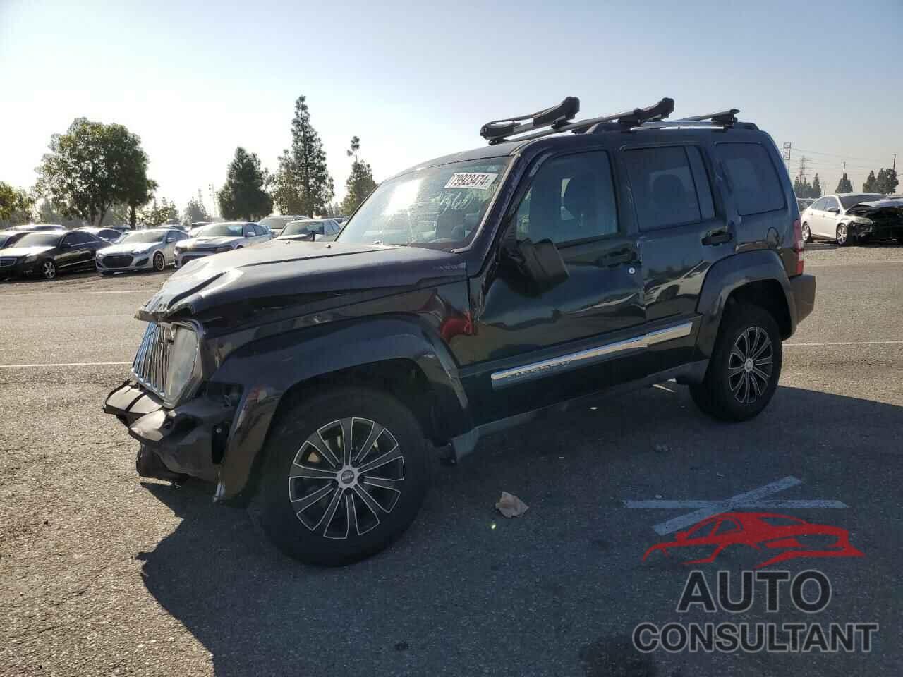 JEEP LIBERTY 2011 - 1J4PP5GK4BW533915