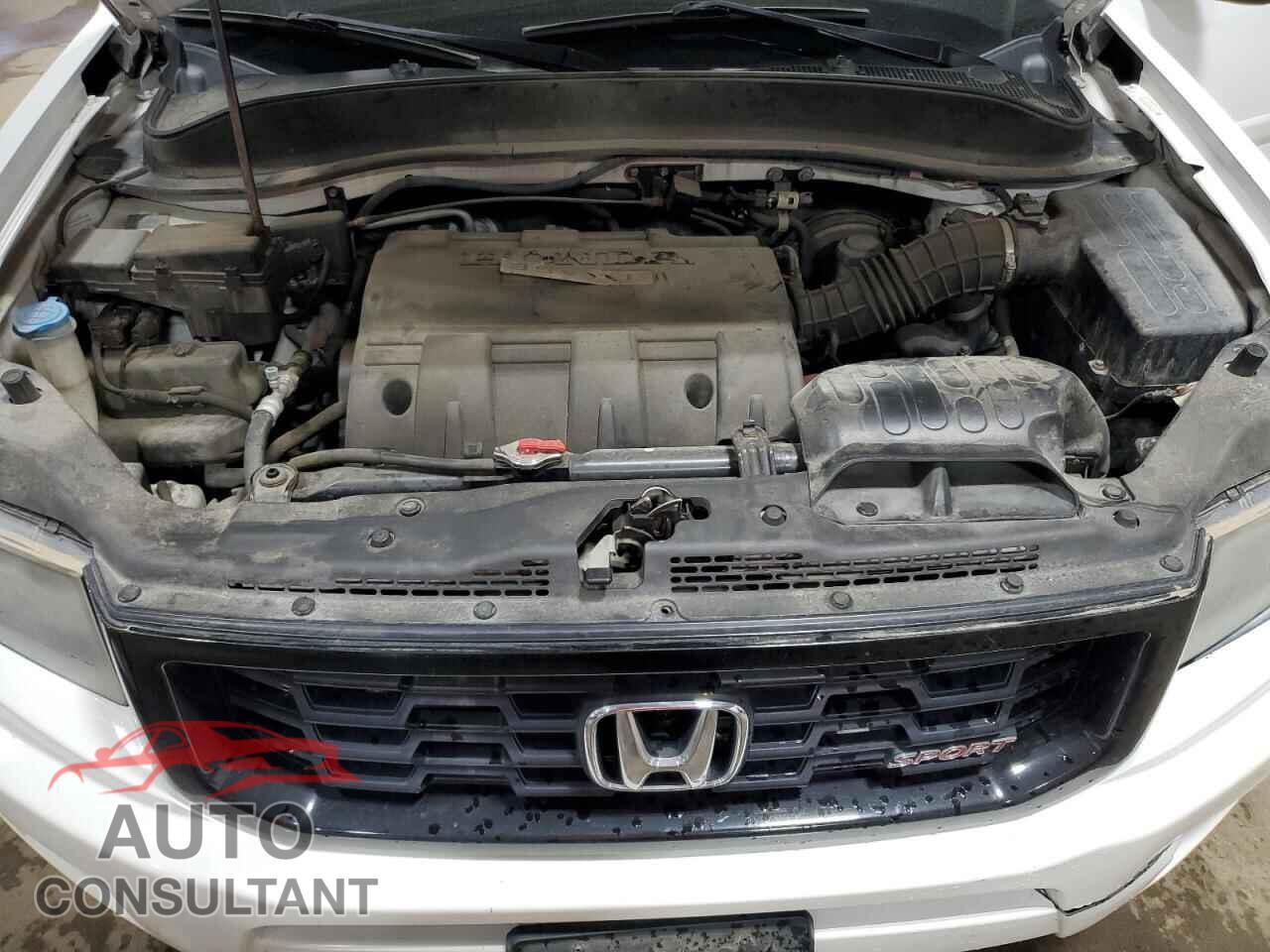 HONDA RIDGELINE 2013 - 5FPYK1F71DB007092