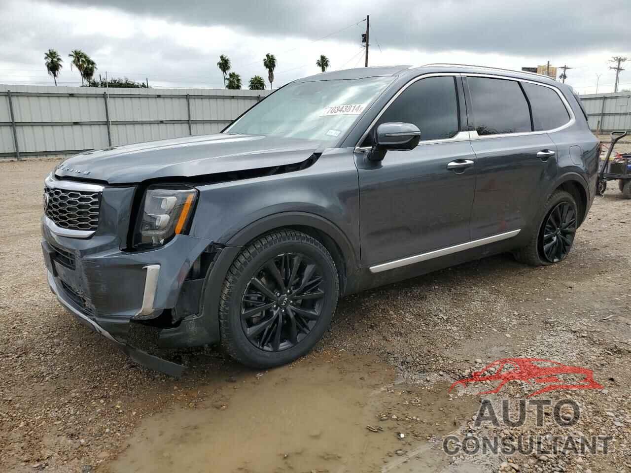 KIA TELLURIDE 2021 - 5XYP5DHC7MG135899