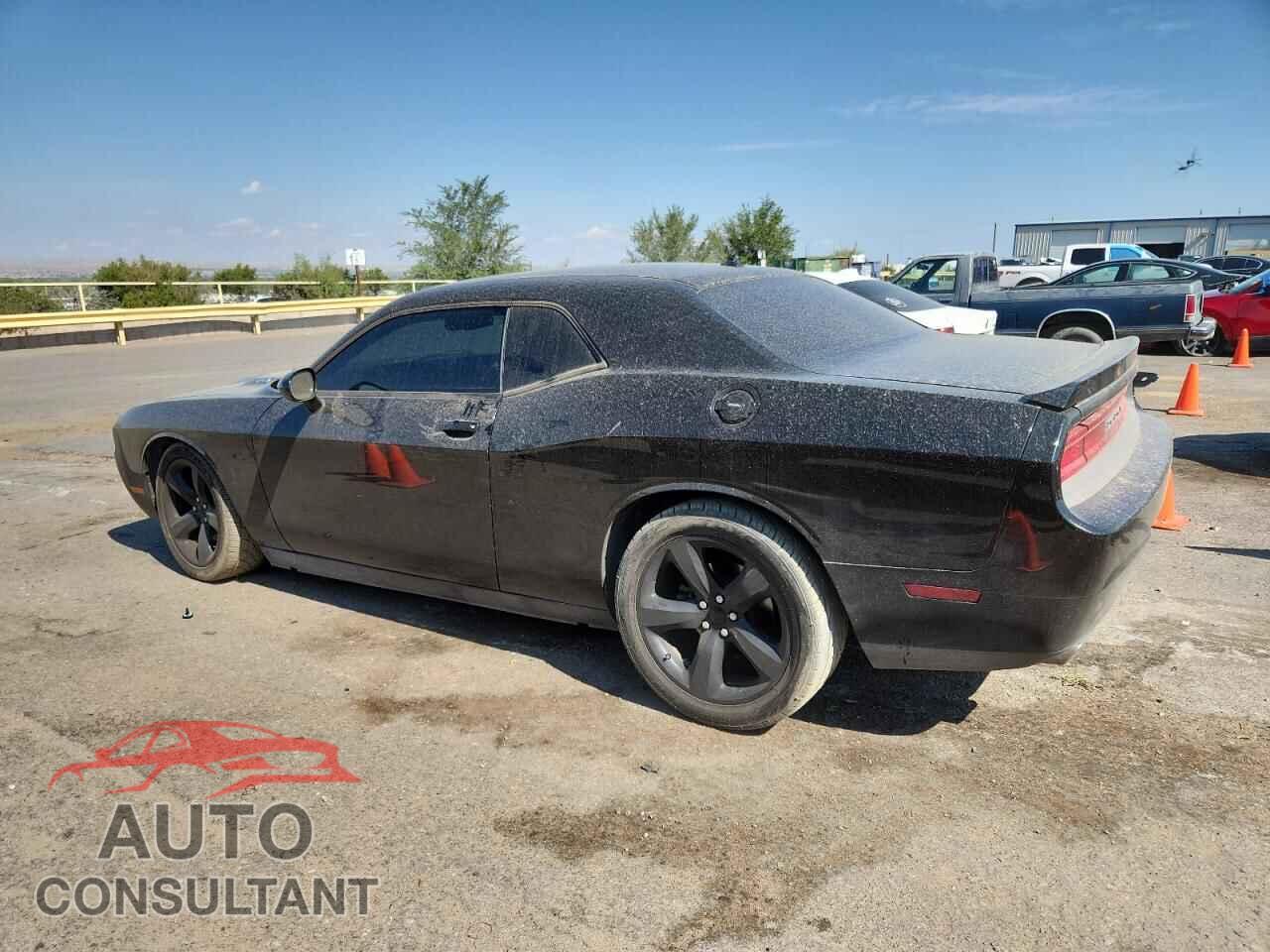 DODGE CHALLENGER 2013 - 2C3CDYBTXDH646837