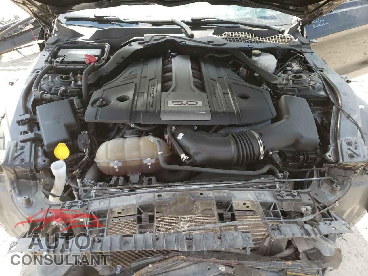 FORD MUSTANG 2020 - 1FA6P8CF1L5100934