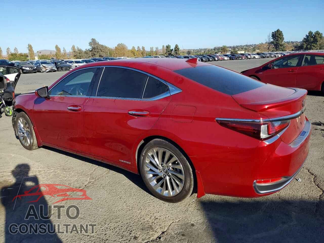 LEXUS ES300 2019 - JTHB21B10K2038607