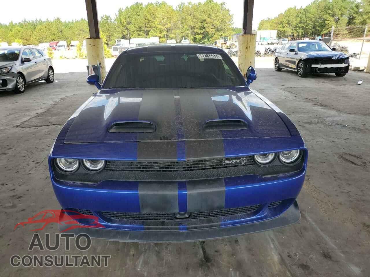 DODGE CHALLENGER 2019 - 2C3CDZC96KH731244