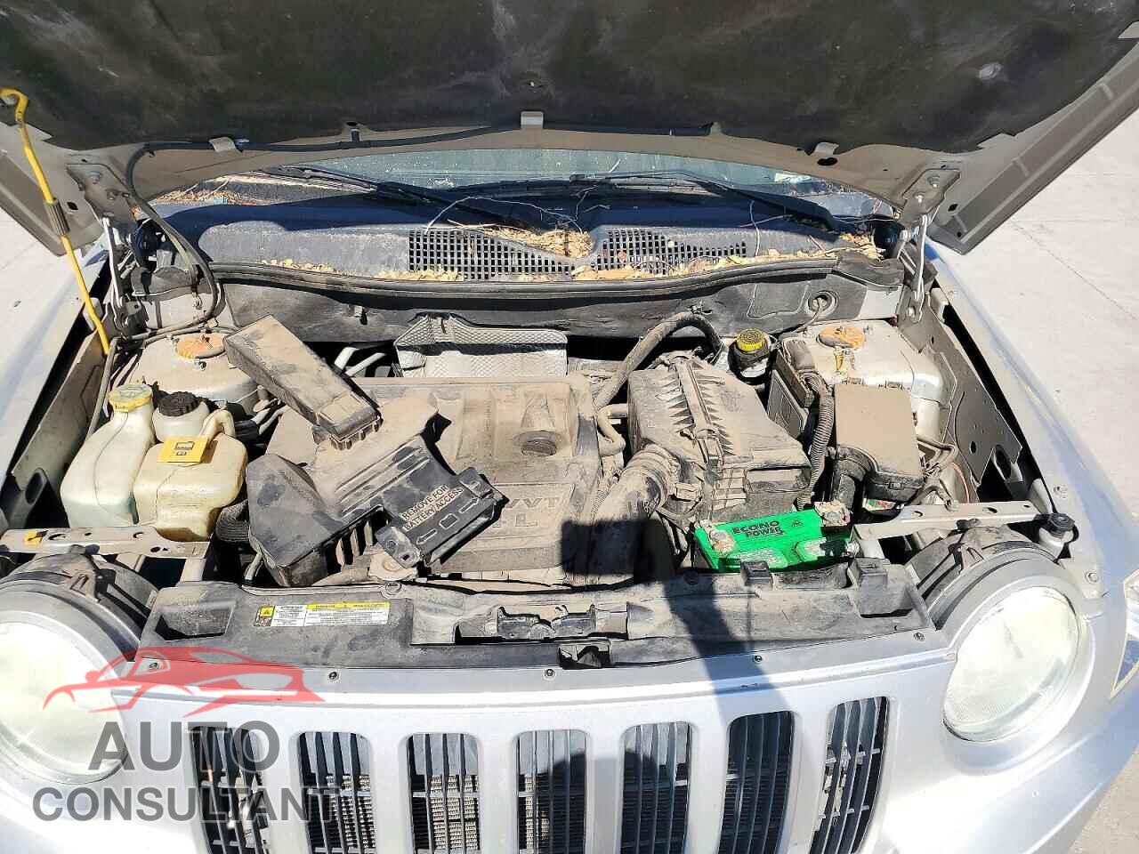 JEEP COMPASS 2009 - 1J4FF47B79D210456