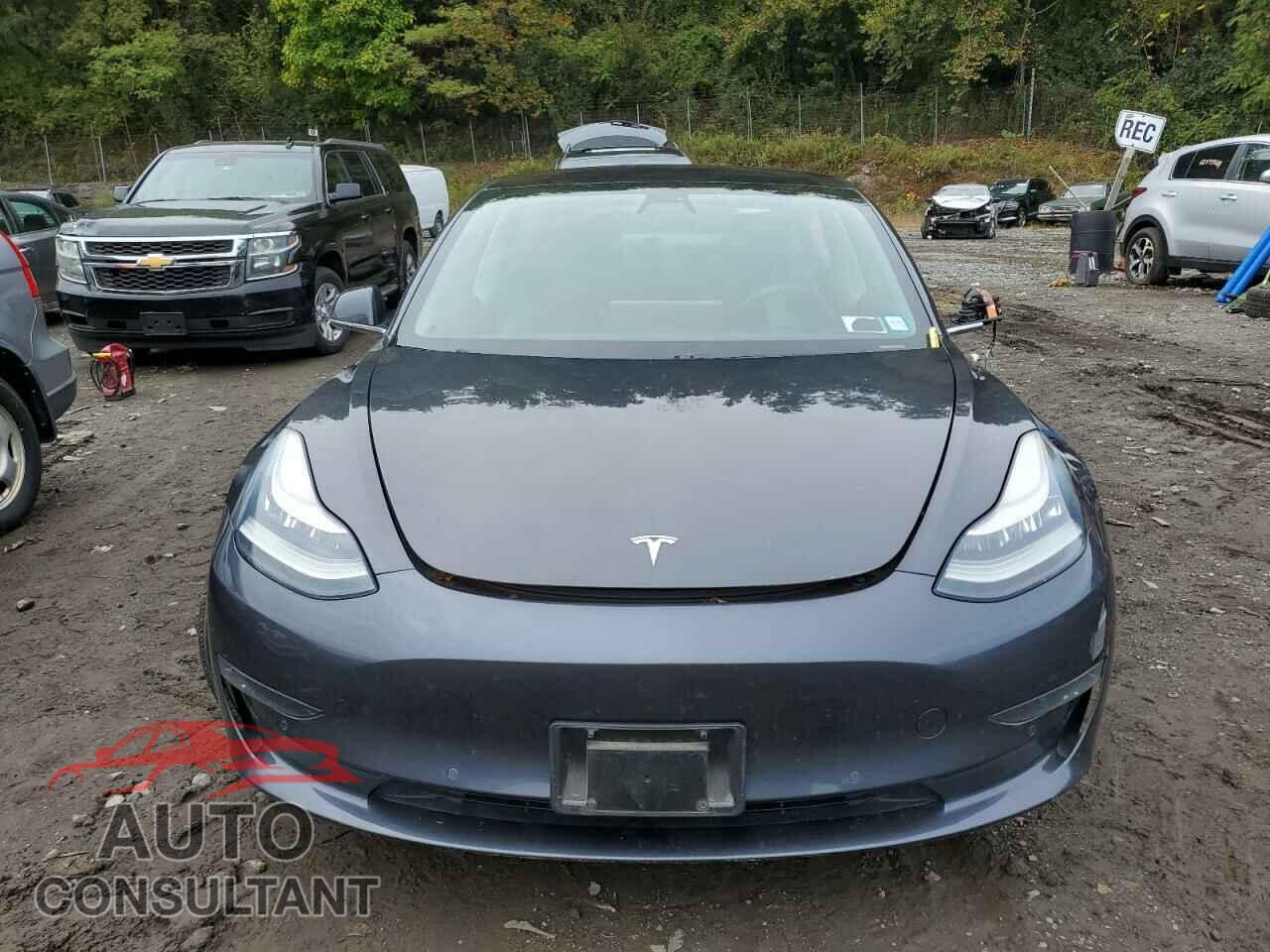 TESLA MODEL 3 2018 - 5YJ3E1EB3JF116469