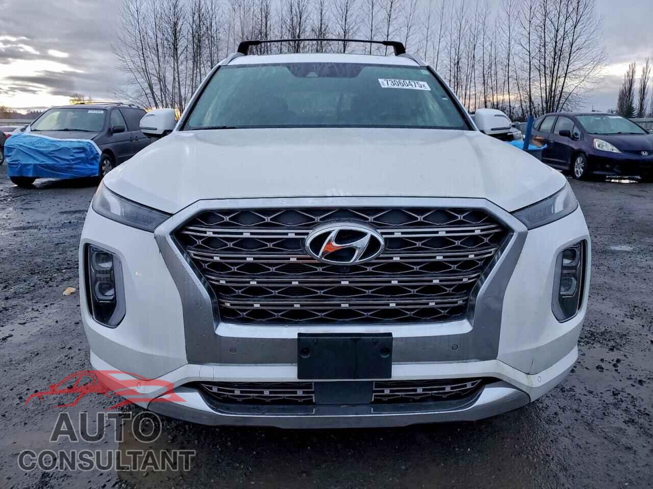 HYUNDAI PALISADE 2020 - KM8R5DHEXLU051904