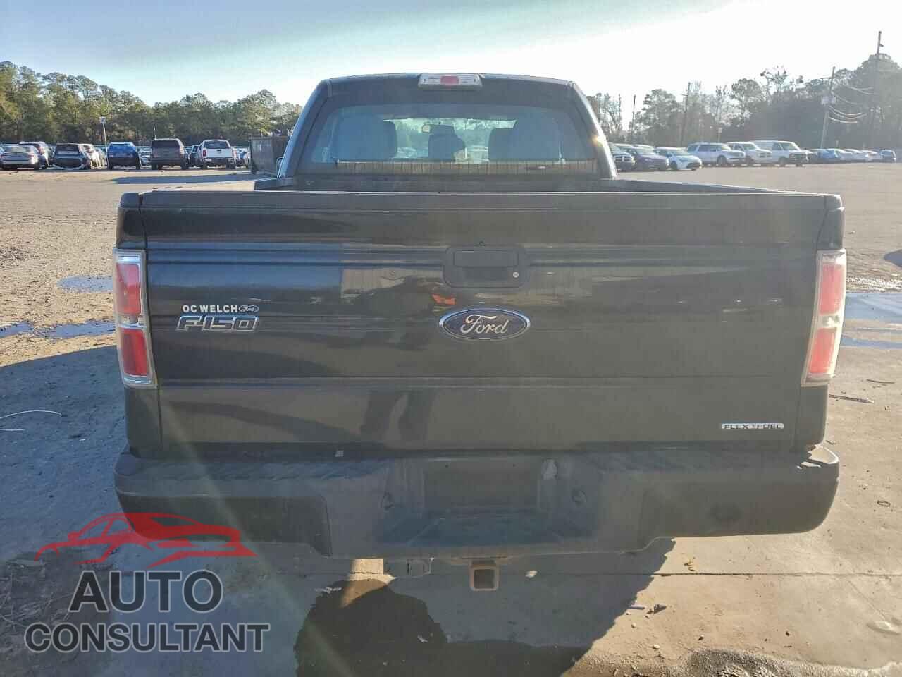 FORD F-150 2013 - 1FTFX1EF3DFD62027