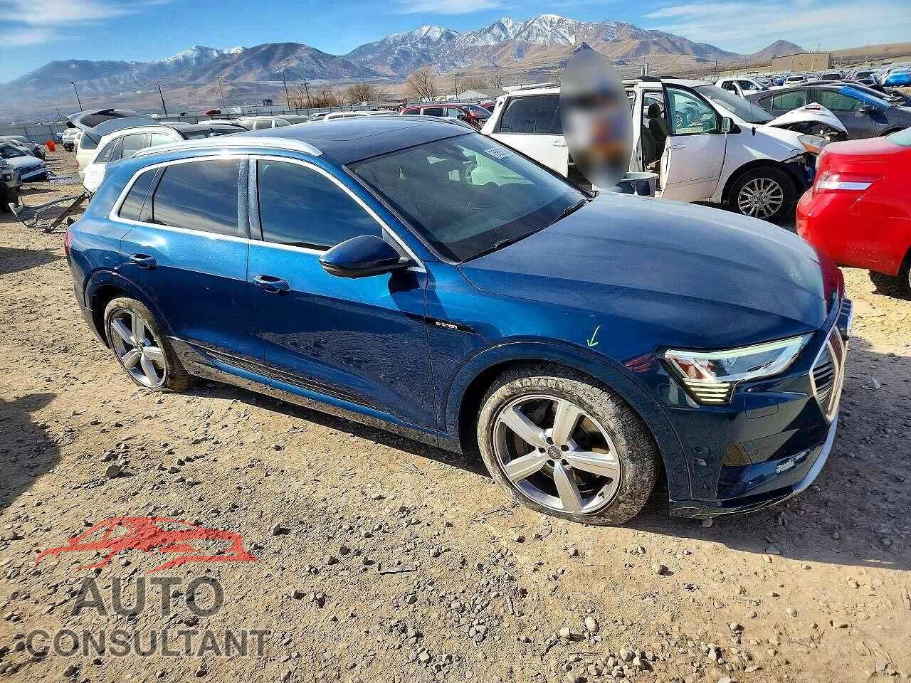 AUDI E-TRON 2019 - WA1LABGE5KB020950