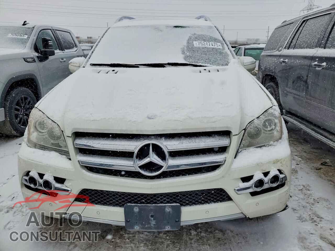 MERCEDES-BENZ GL-CLASS 2010 - 4JGBF7BE4AA601637