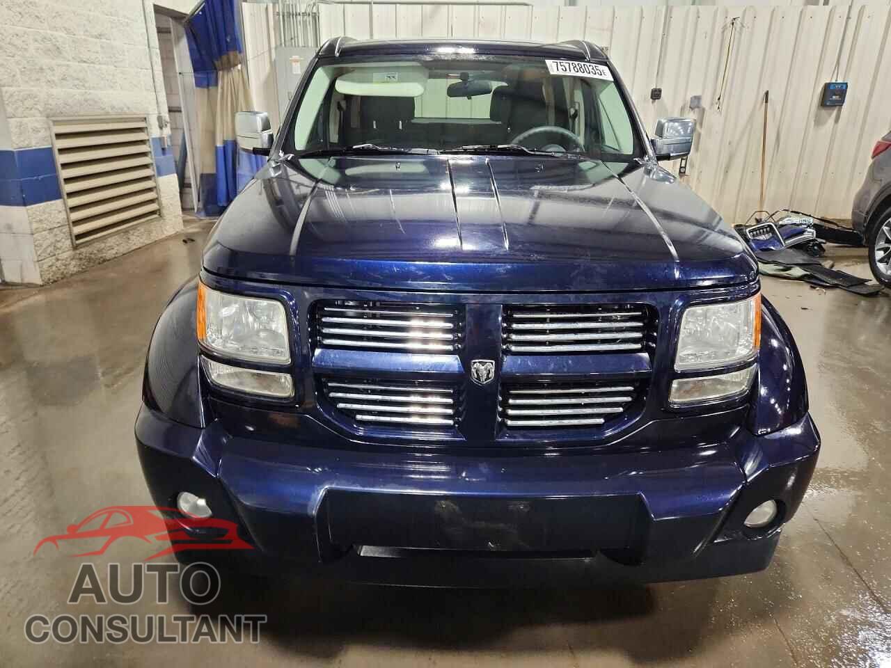 DODGE NITRO 2011 - 1D4PU4GK5BW576722