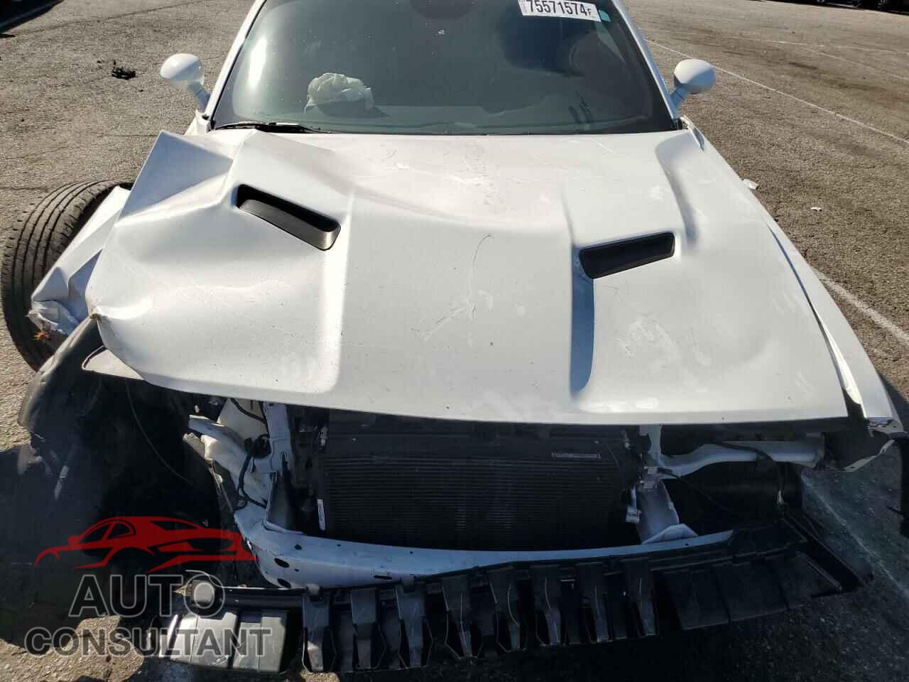 DODGE CHALLENGER 2019 - 2C3CDZAG5KH735271