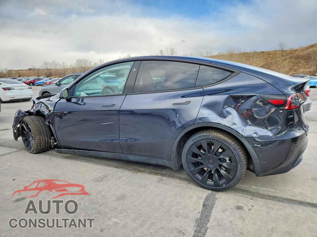 TESLA MODEL Y 2024 - 7SAYGDEE7RF079789