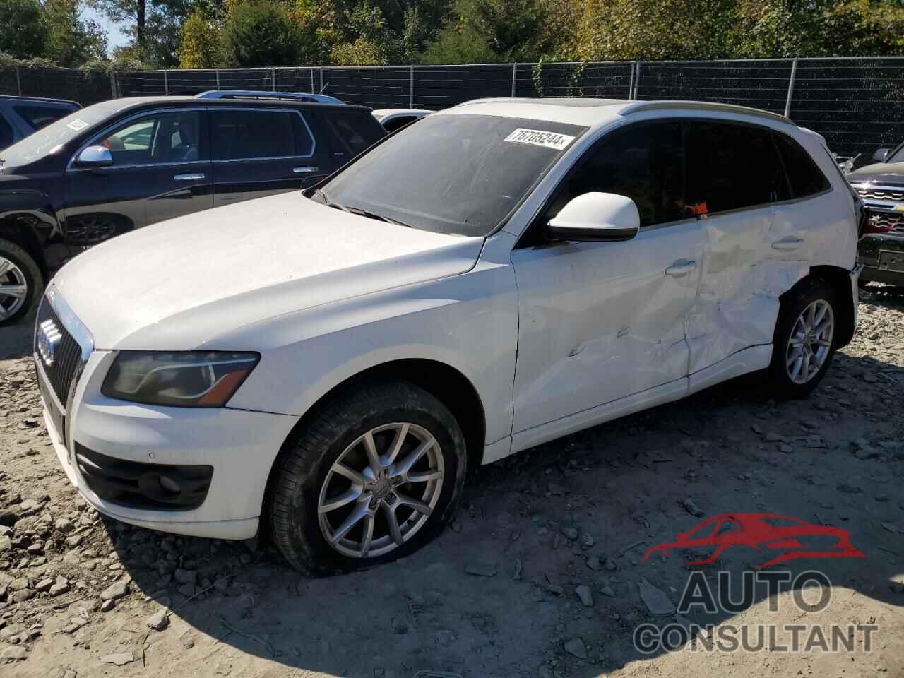 AUDI Q5 2011 - WA1LFAFP9BA040591