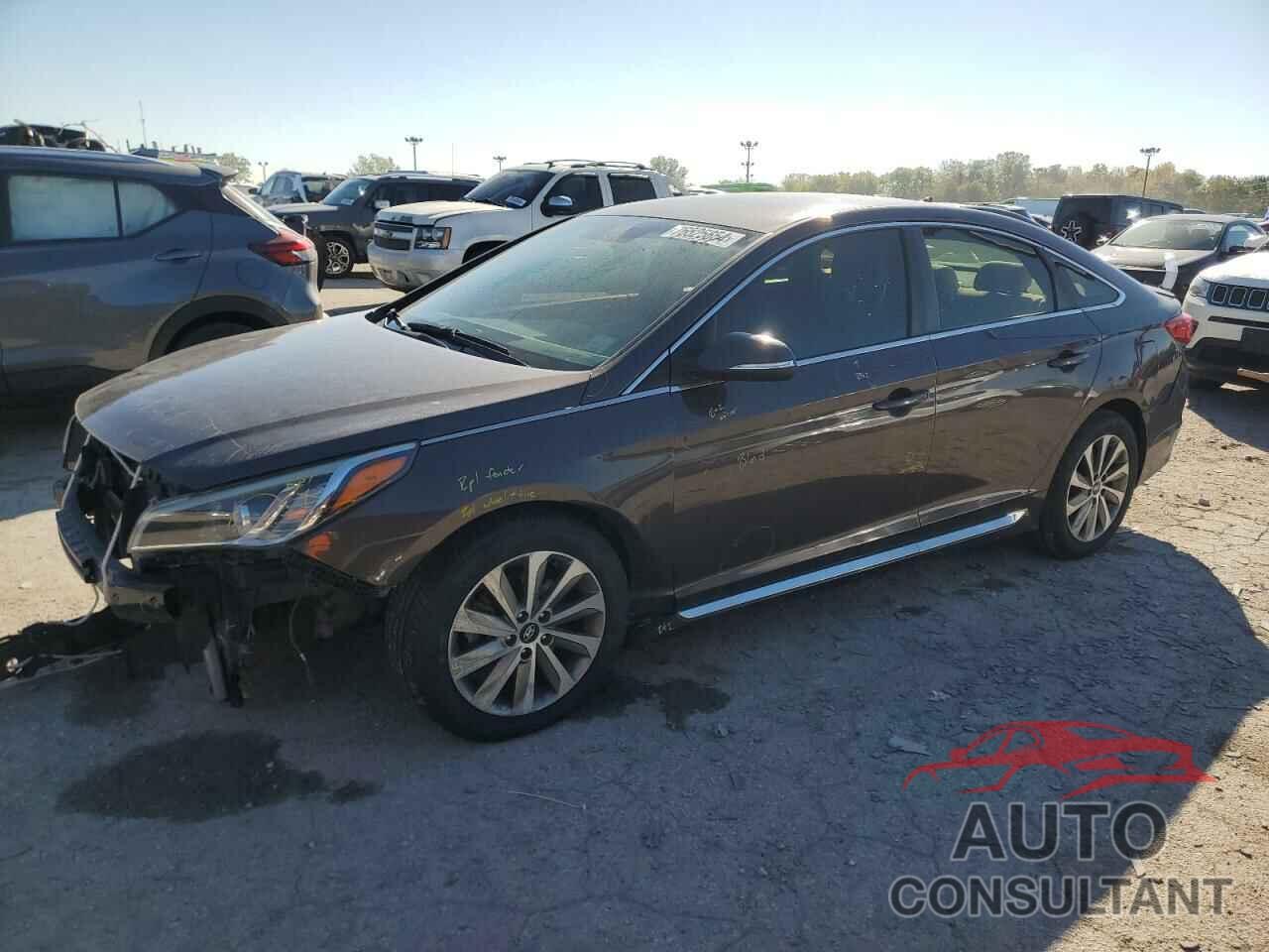 HYUNDAI SONATA 2016 - 5NPE34AF6GH332304