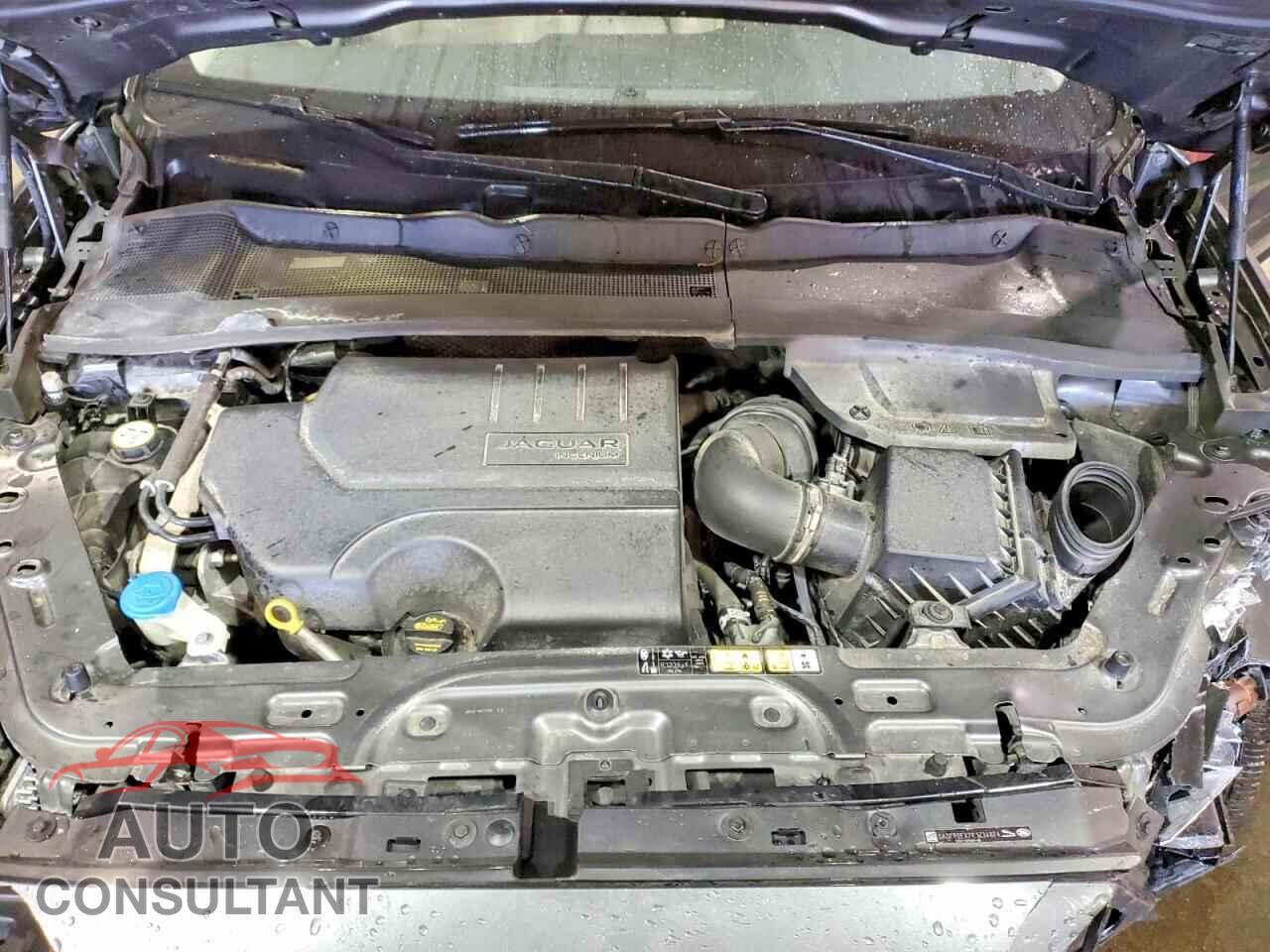 JAGUAR E-PACE 2019 - SADFP2FX7K1Z34874